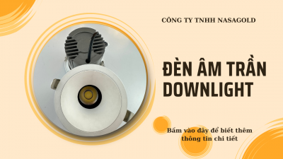 ĐÈN ÂM TRẦN DOWNLIGHT