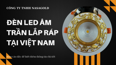 ĐÈN LED ÂM TRẦN LẮP RÁP TẠI VIỆT NAM